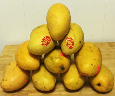 mango-stack